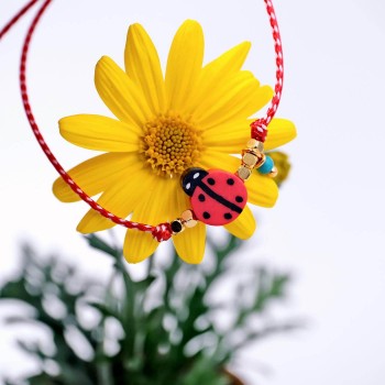 Μαρτάκι Toolittle Ladybug